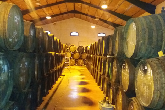 Фото - экскурсия: Винодельня с дегустацией вин и хамона