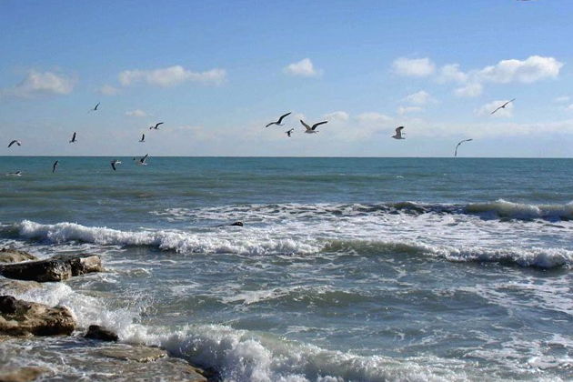 Фото экскурсии - Откройте для себя грязевые вулканы Гобустана, Розовое озеро, Горящую гору, Агатовые горы и продегустируйте икру - 7