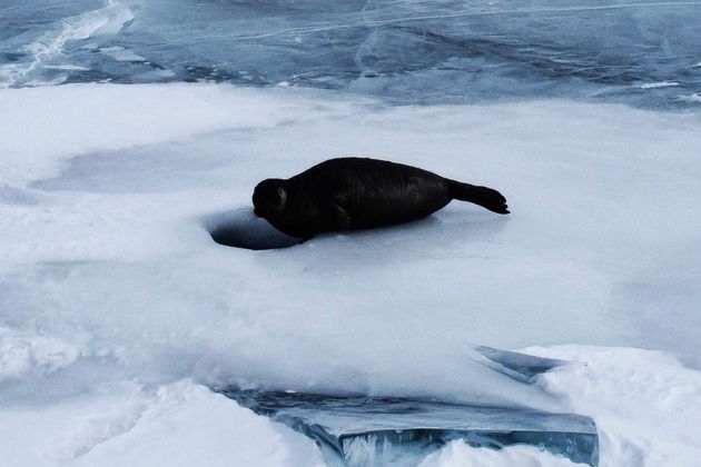 Фото экскурсии - Персональное путешествие по северной части острова Ольхон - 7