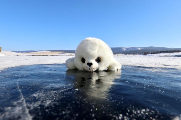 Фото экскурсии - Джип-тур по северной части Ольхона с отправлением из Хужира - 8