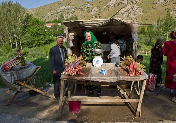 Групповой трансфер в Шахрисабз из Самарканда! - фото 2