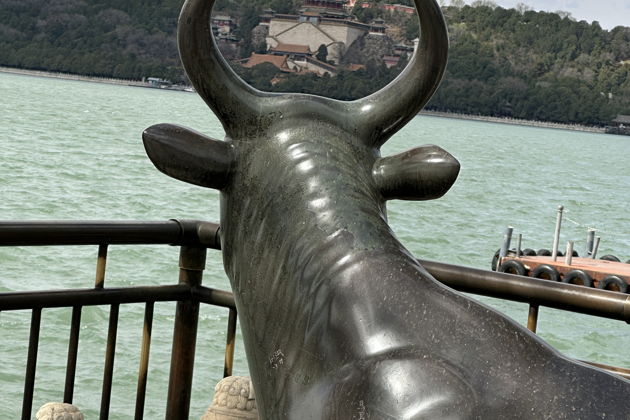 Фото экскурсии - Пекин за пределами города: Великая стена и летний дворец - 7