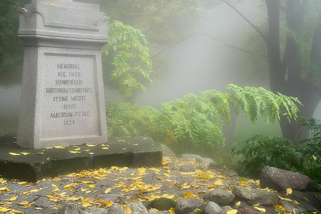 Фото - экскурсия: Новый Росгартен: чума, «кошачьи головы» под ногами, ведьмы