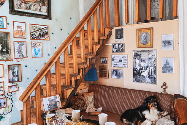 Фото экскурсии - Узнайте историю Петербурга на лестнице дома Бака от парадной до коммунальной квартиры - 6