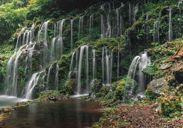 Северные водопады Бали: Секумпул, Баньюмала, храм Улун Дану на озере - фото 2