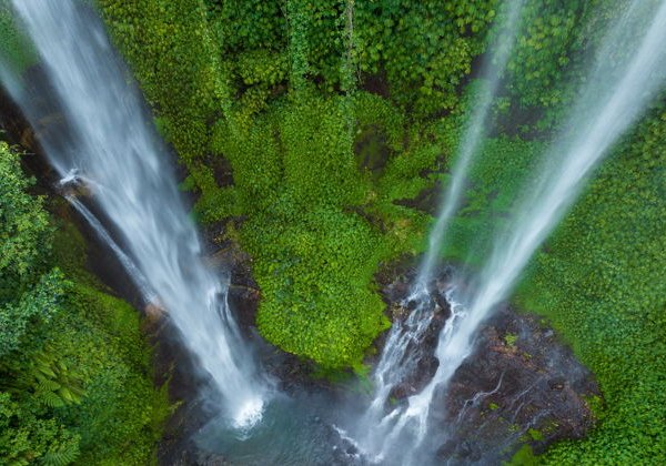 Северные водопады Бали: Секумпул, Баньюмала, храм Улун Дану на озере - фото 3