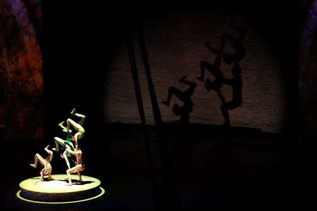 Фото экскурсии - Забронируйте места на захватывающее акробатическое представление в Шанхайском театре - 6