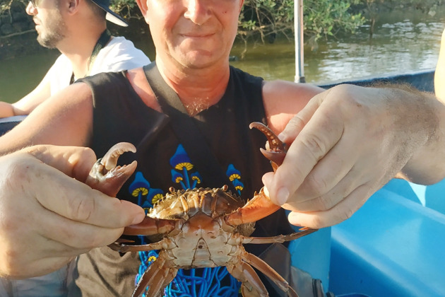 Фото - экскурсия: Отловим крабов и приготовим из них ужин