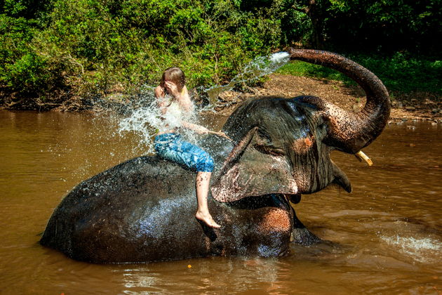 Фото экскурсии - Слоны и тигры Индии в мире дикой природы - 5