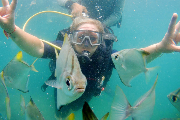 Фото - экскурсия: Погружение с аквалангом встреча с дельфинами отдых на пляже и барбекю