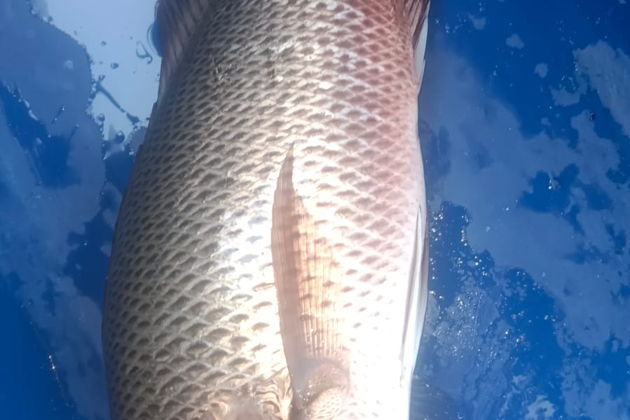 Фото экскурсии - Морская рыбалка для начинающих и опытных рыболовов - 9