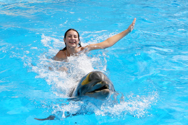 Фото экскурсии - Плавание с дельфинами на Бали: почувствуй их силу рядом с собой - 6