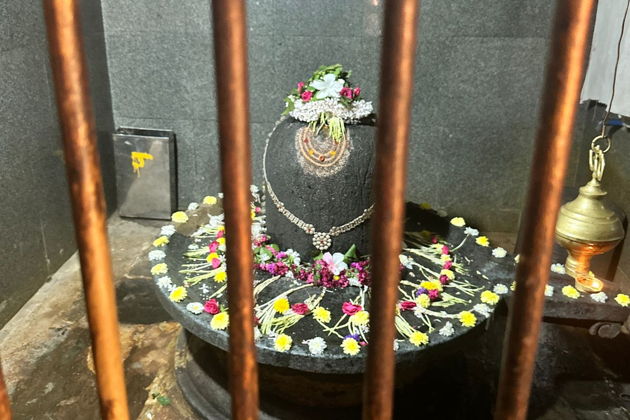 Фото экскурсии - Однодневная поездка в Мурдешвар, Гокарну и на пляж Палолем - 8