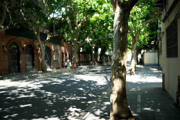 Фото экскурсии - Прогулка сквозь века от исторического центра до квартала Синьтяньди - 6