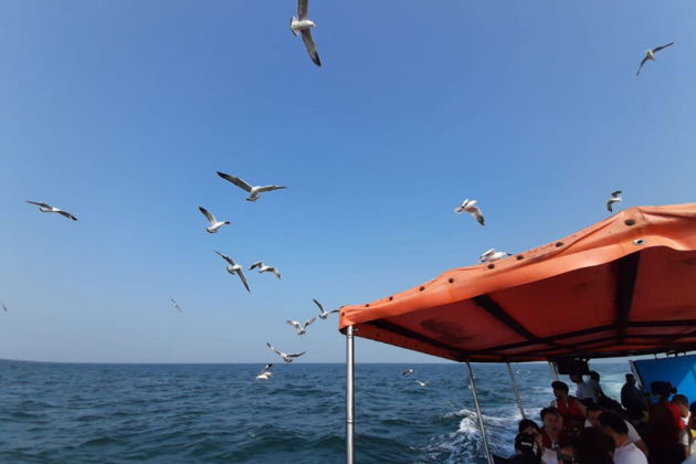 Фото экскурсии - Морская прогулка на остров Гранд Айленд, снорклинг. Барбекю + рыбалка - 6