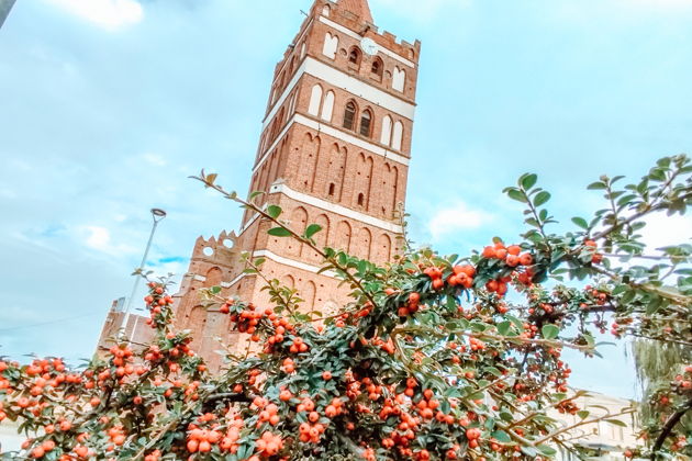 Фото экскурсии - Прогулка по Правдинску и знакомство с прусской провинцией - 10