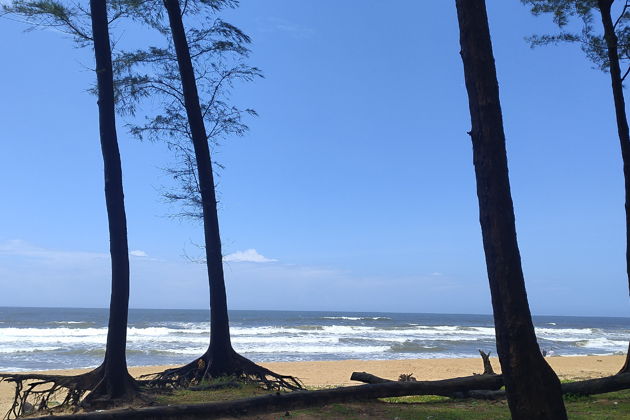 Фото экскурсии - Открываем секреты Махараштры - 3