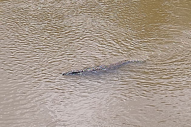 Фото экскурсии - Открываем секреты Махараштры - 5