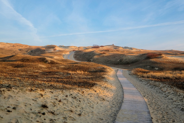 Фото - экскурсия: Загадочный Танцующий лес и поющие пески Куршской косы в мини-группе