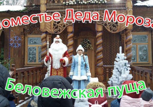 Индивидуальная экскурсия в поместье Деда Мороза на микроавтобусе