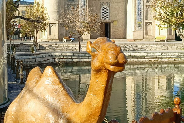 Фото экскурсии - Трансфер между Хивой и Бухарой в любом направлении - 5