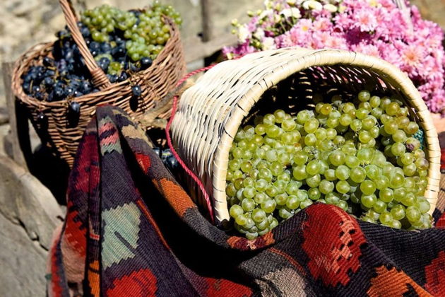 Фото экскурсии - Праздник винограда Ртвели с ведущим: сезонное торжество - 4