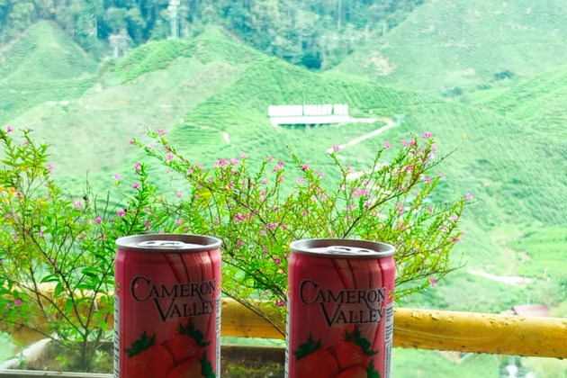 Фото - экскурсия: Кэмерон