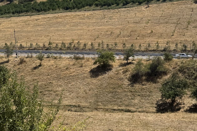 Фото экскурсии - Путешествие из Ташкента к горным вершинам Амирсоя, Чимгана и озеру Чарвак - 4