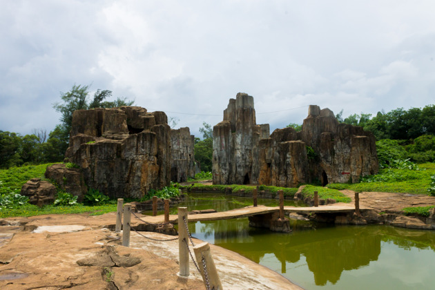 Фото - экскурсия: Тропический сафари-парк на острове Хайнань