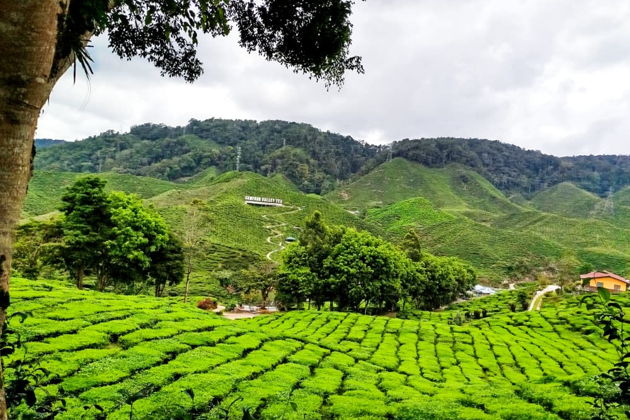 Фото экскурсии - Ночной Куала-Лумпур - 5