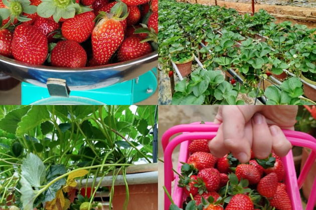 Фото экскурсии - Ночной Куала-Лумпур - 7