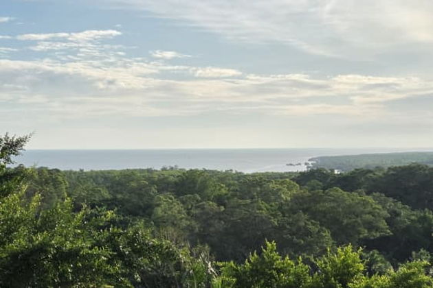 Фото экскурсии - Экскурсия к реке светлячков и встреча с обезьянками лангурами - 5