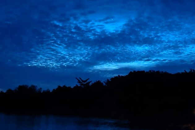 Фото экскурсии - Экскурсия к реке светлячков и встреча с обезьянками лангурами - 7