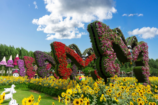Фото - экскурсия: Откройте мир бабочек с билетом в Дубайский Сад Бабочек