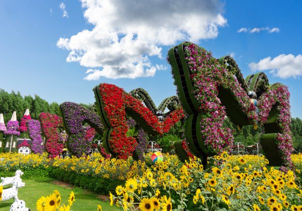 Мир бабочек: входной билет в Dubai Butterfly Garden