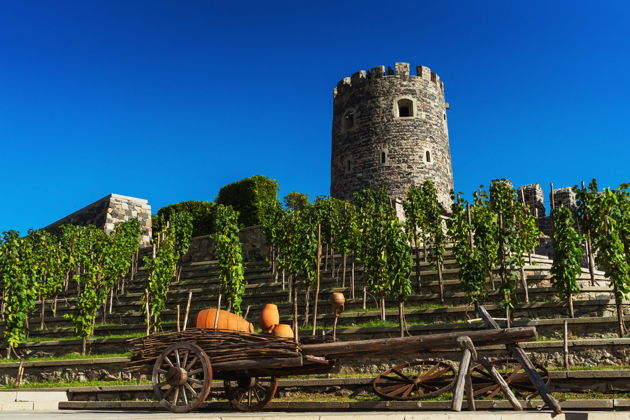 Фото экскурсии - Открываем Грузию с разных сторон от побережья Батуми до горных пиков Казбеги - 6