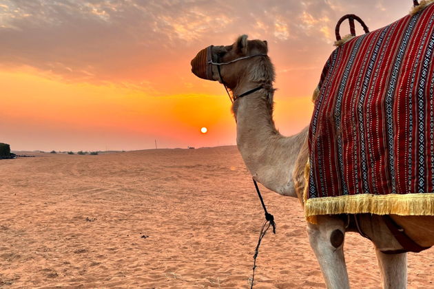 Фото экскурсии - Квадроциклы по пустыне с верблюдами и сапсерфингом для любителей приключений - 5