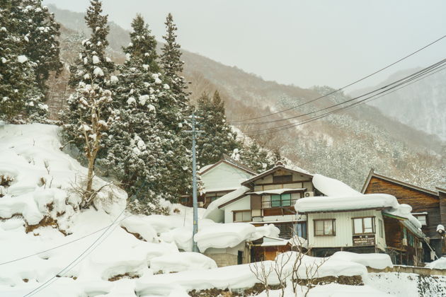 Фото экскурсии - Поездка к снежным обезьянам на один день - 1