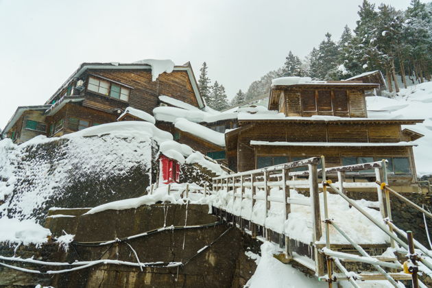 Фото экскурсии - Поездка к снежным обезьянам на один день - 7