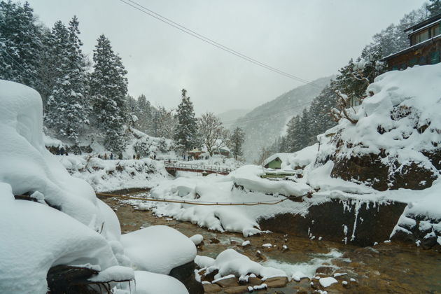 Фото экскурсии - Поездка к снежным обезьянам на один день - 8