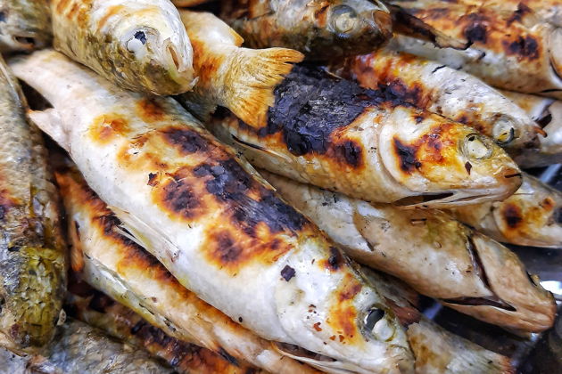 Фото экскурсии - Отправляйся на морскую рыбалку в Белеке - 1