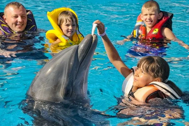 Фото экскурсии - Поплавайте с дельфинами в Белеке - 1