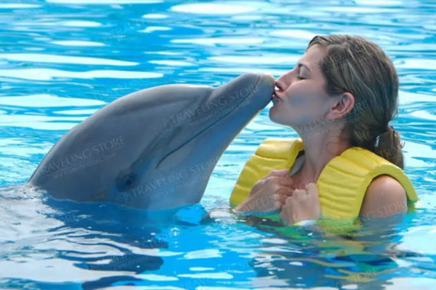 Фото экскурсии - Поплавайте с дельфинами в Белеке - 2