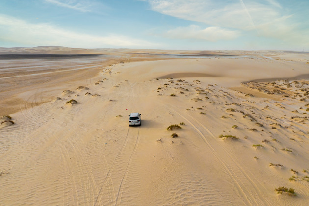 Фото - экскурсия: Ранняя прогулка по пустынным барханам с визитом на ферму верблюдов и финиковые плантации