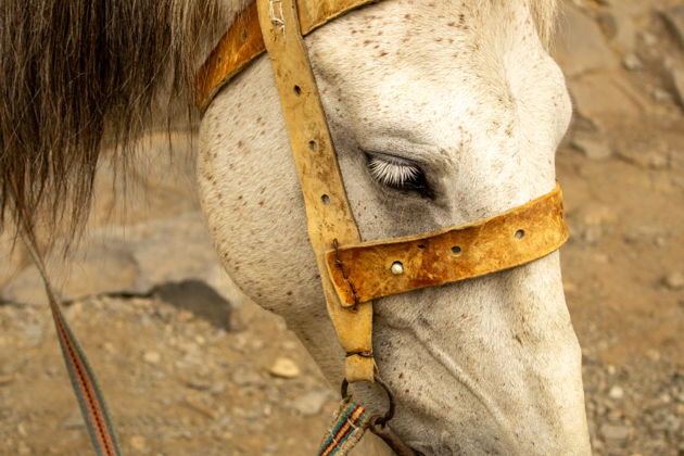 Фото экскурсии - Отдых в Армении и Грузии с посещением санатория Боржоми - 1