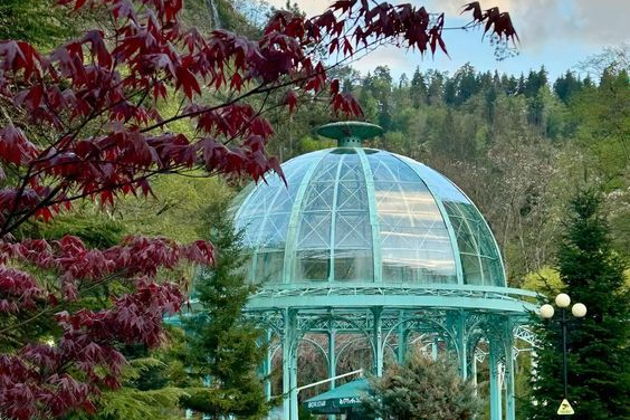 Фото экскурсии - Древняя Вардзия XII века и вечнозеленый Боржоми - 8