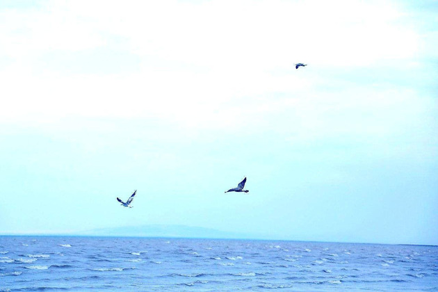 Фото - экскурсия: Оазис среди пустыни: отдых на озере Тудакуль