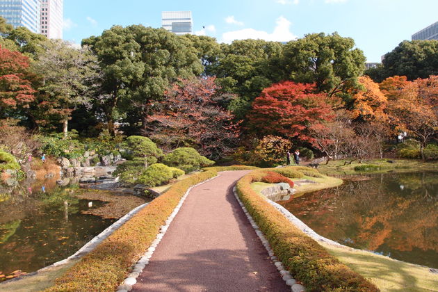 Фото экскурсии - Прогулка с аудиогидом по зачарованным садам Токийского императорского дворца - 5