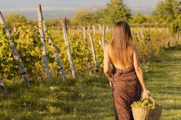 Фото - экскурсия: Праздник виноградной лозы и дегустации в кахетинском Ртвели