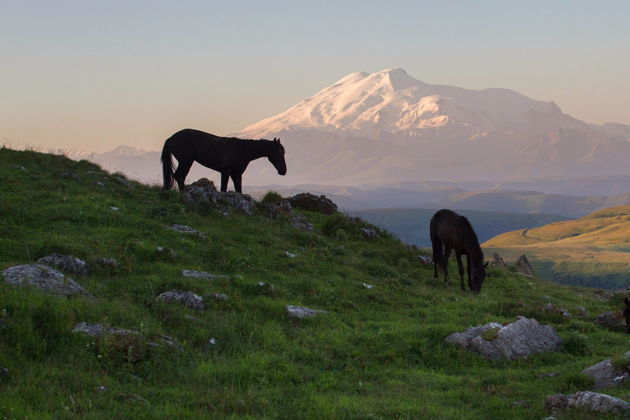 Фото экскурсии - Поездка в горный Домбай из Пятигорска - 13